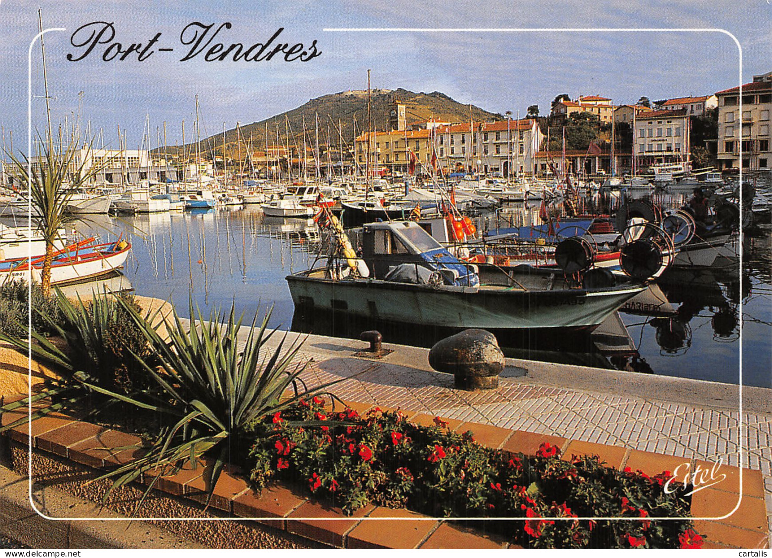 66-PORT VENDRES-N°4260-A/0107 - Port Vendres