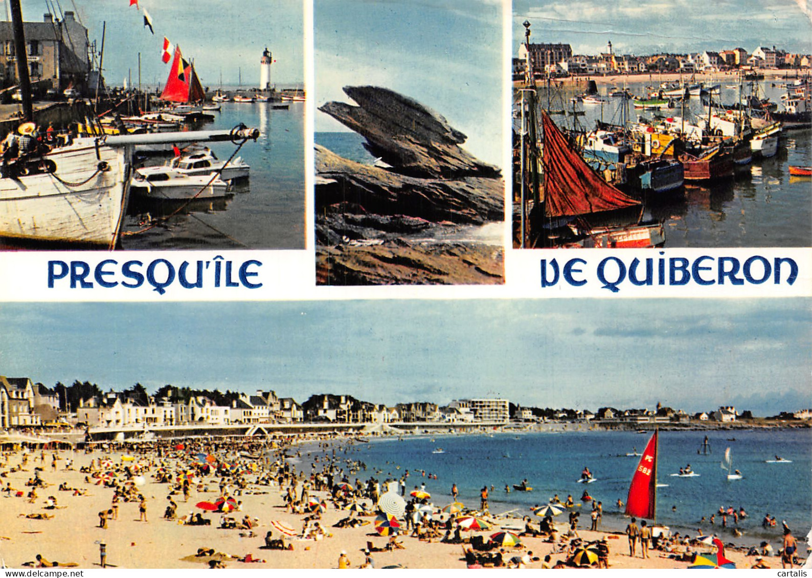 56-QUIBERON-N°4259-D/0337 - Quiberon