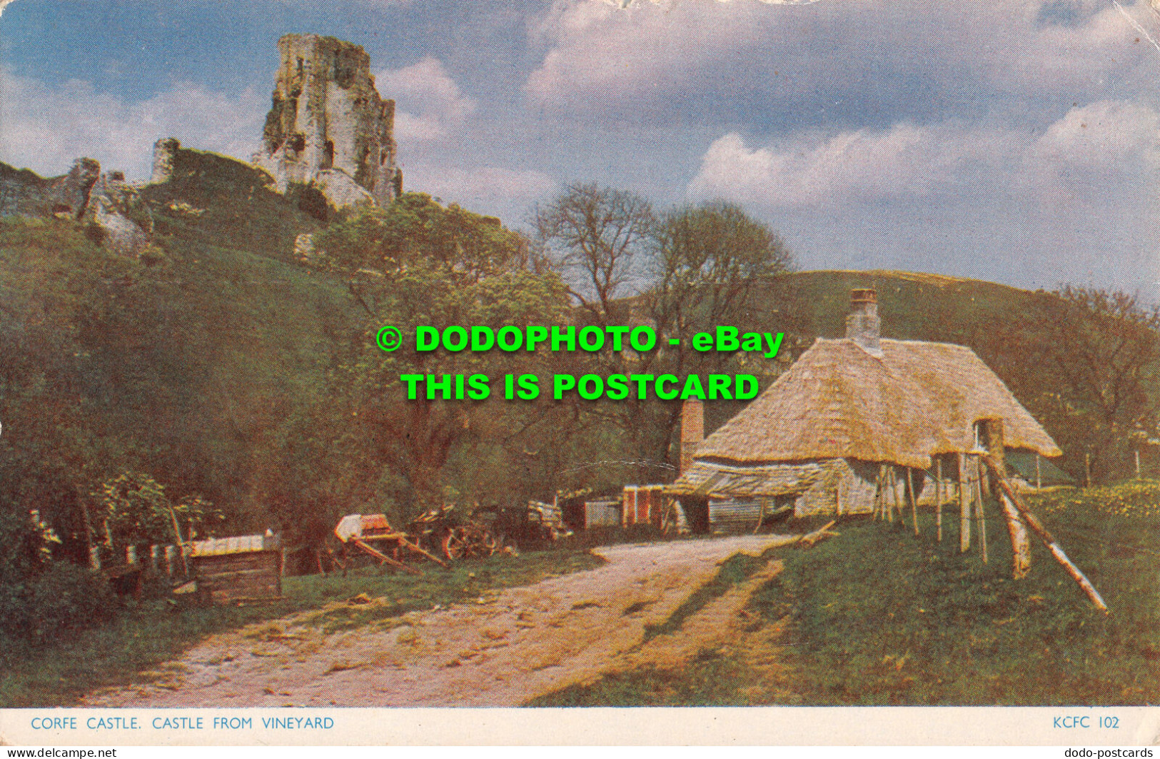 R484986 Corfe Castle. Castle From Vineyard. KCFC 102. Cotman Color. Jarrold. 195 - Welt