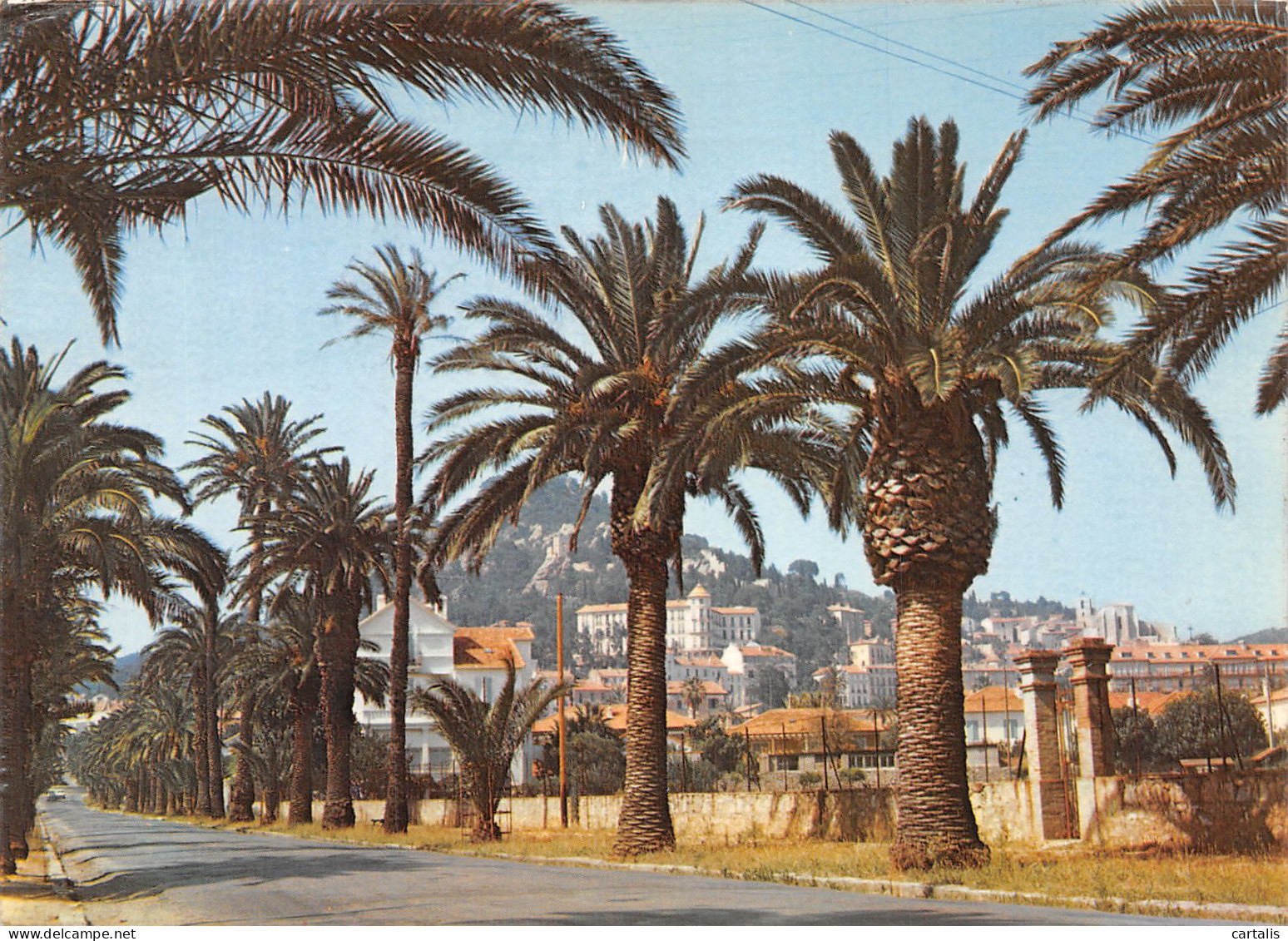 83-HYERES LES PALMIERS-N°4260-C/0105 - Hyeres