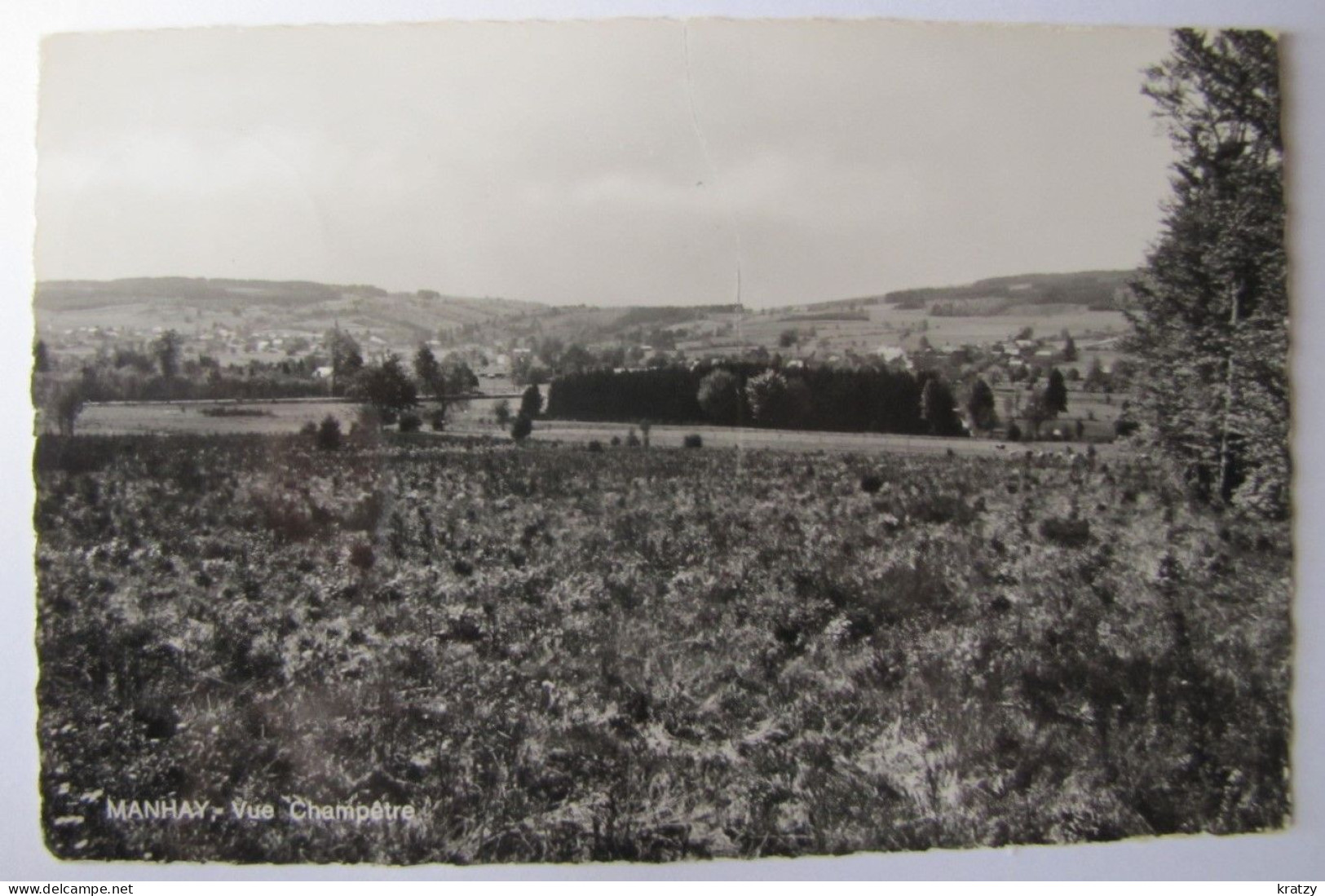 BELGIQUE - LUXEMBOURG - MANHAY - Vue Champêtre - 1973 - Manhay