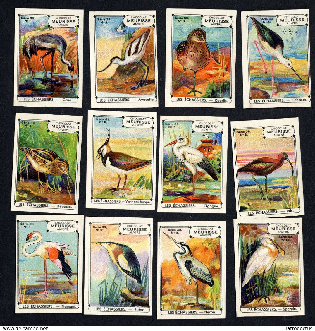 Meurisse - Ca 1930 - 39 - Les Echassiers, Steltlopers, Waders - Full Serie - Other & Unclassified