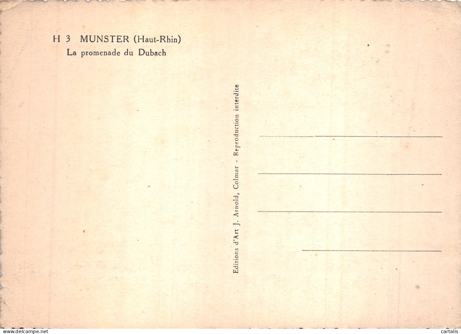 68-MUNSTER-N° 4381-A/0135 - Munster