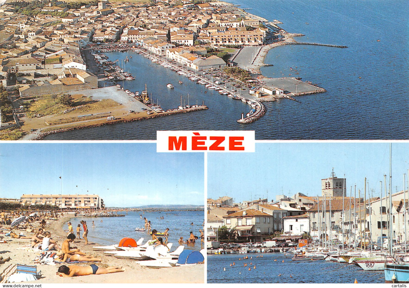 34-MEZE-N° 4381-A/0099 - Mèze