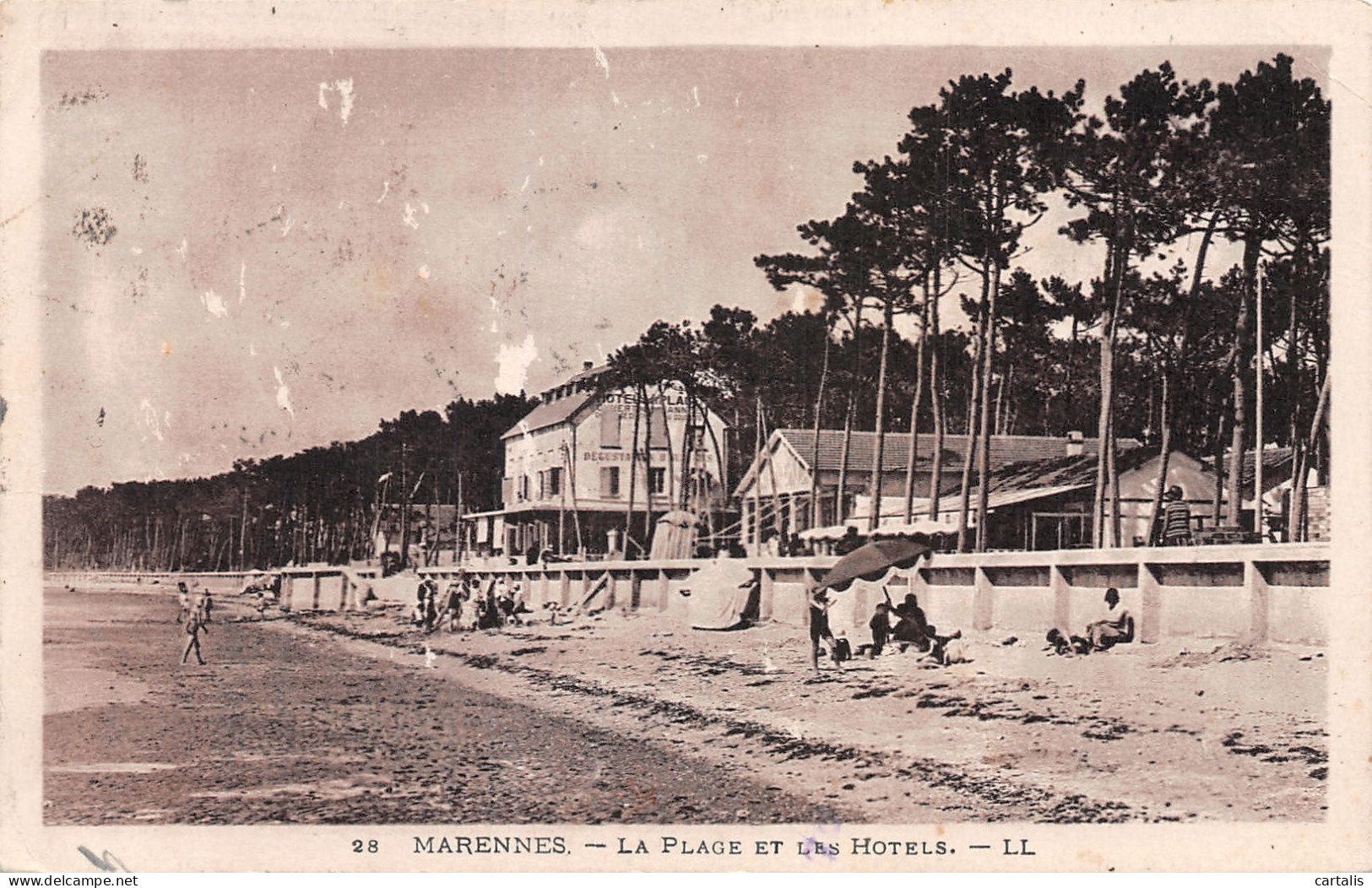 17-MARENNES-N°4260-E/0043 - Marennes