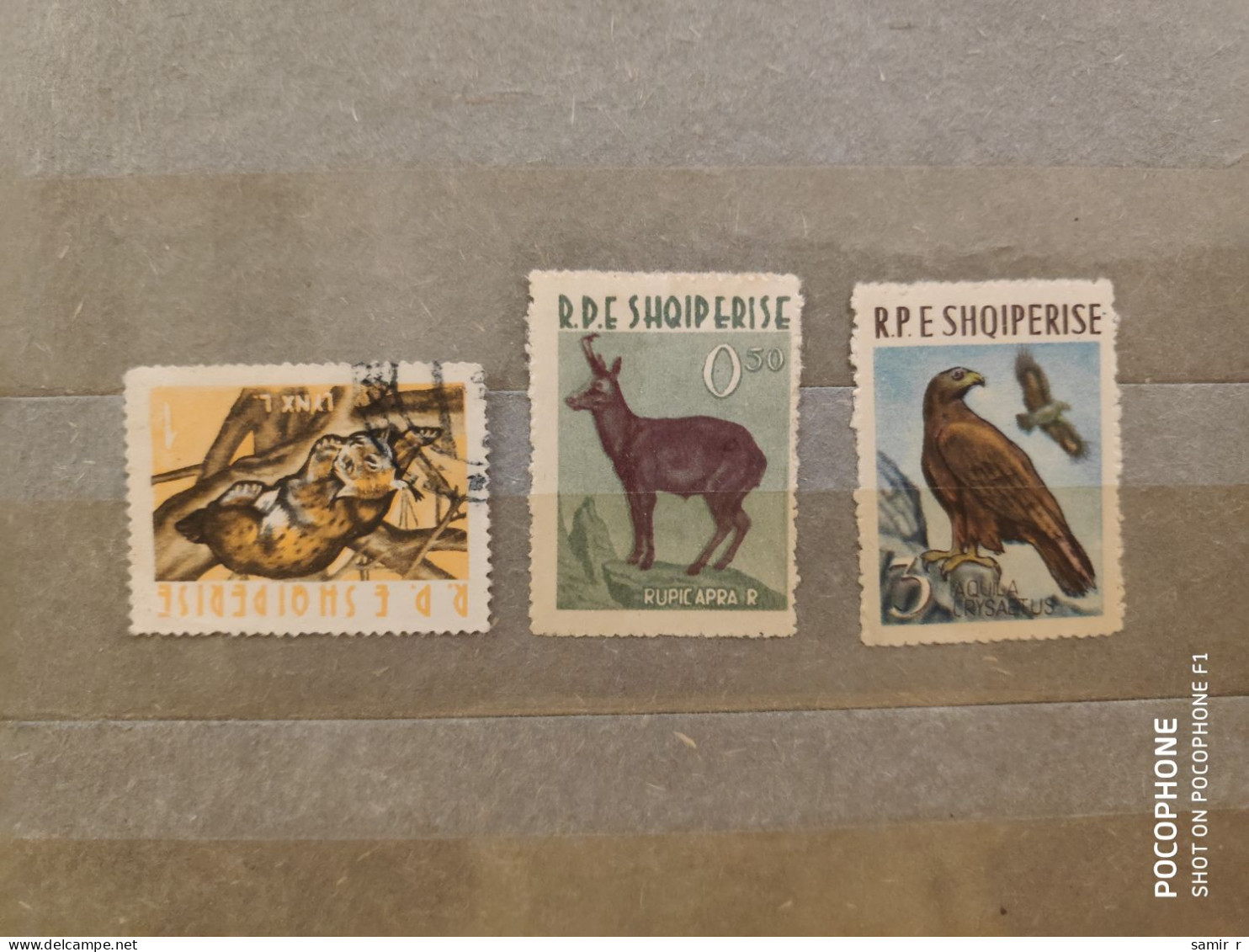 1962	Albania	Animals (F90) - Albanie