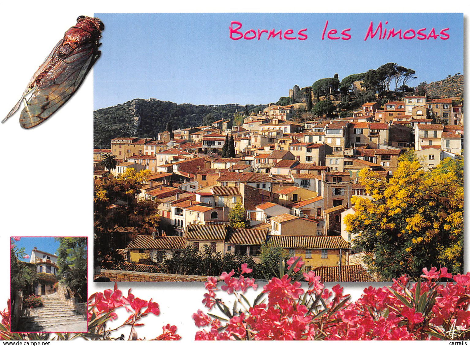 83-BORMES LES MIMOSAS-N° 4381-C/0387 - Bormes-les-Mimosas