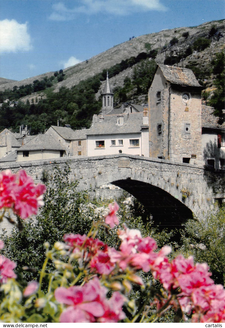 48-LE PONT DE MONTVERT-N° 4381-D/0231 - Le Pont De Montvert