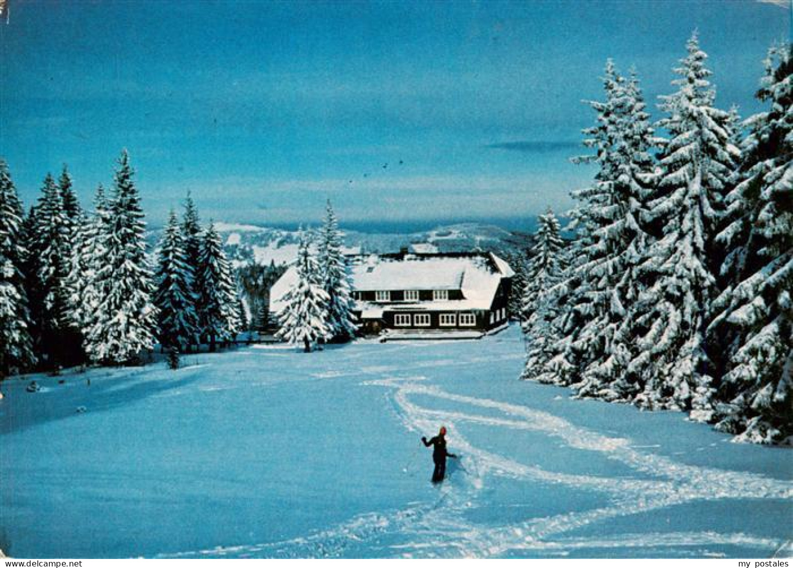 73928295 Todtnauberg Berggasthaus Stuebenwasen - Todtnau