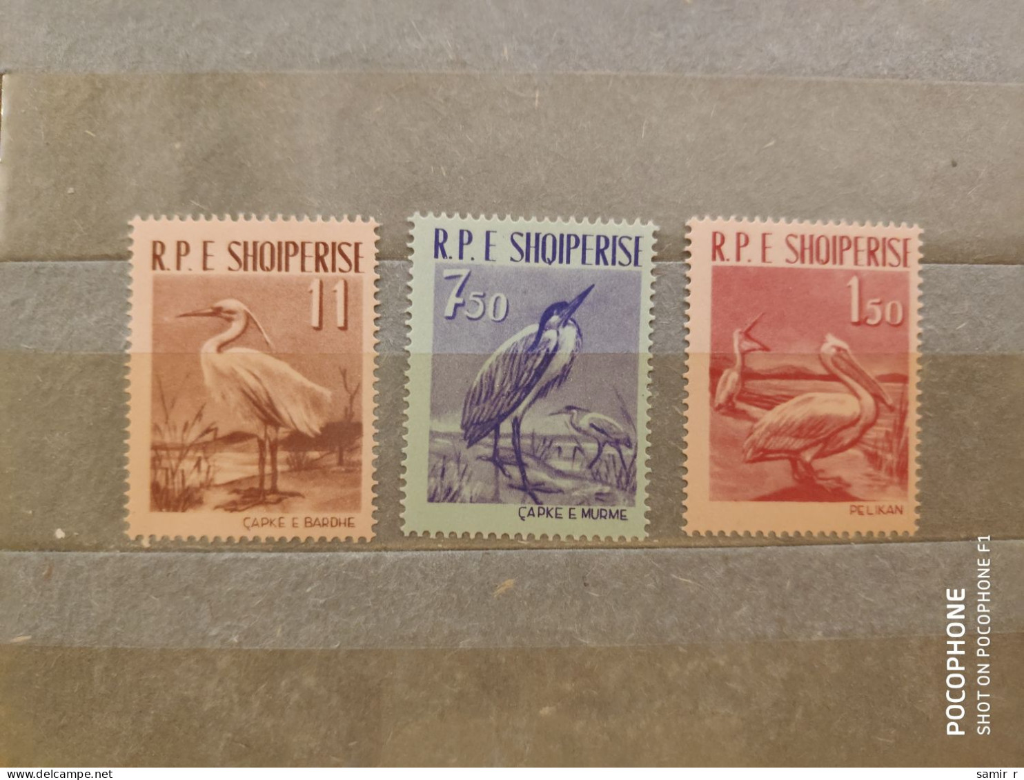 1961	Albania	Birds (F90) - Albanië