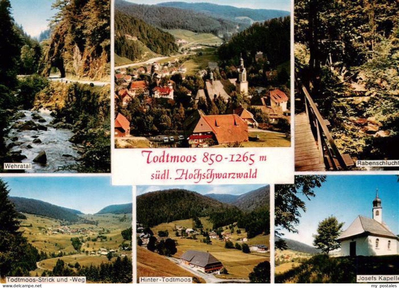 73928284 Todtmoos Wehratal Panorama Rabenschlucht Strick Und Weg Hinter Todtmoos - Todtmoos