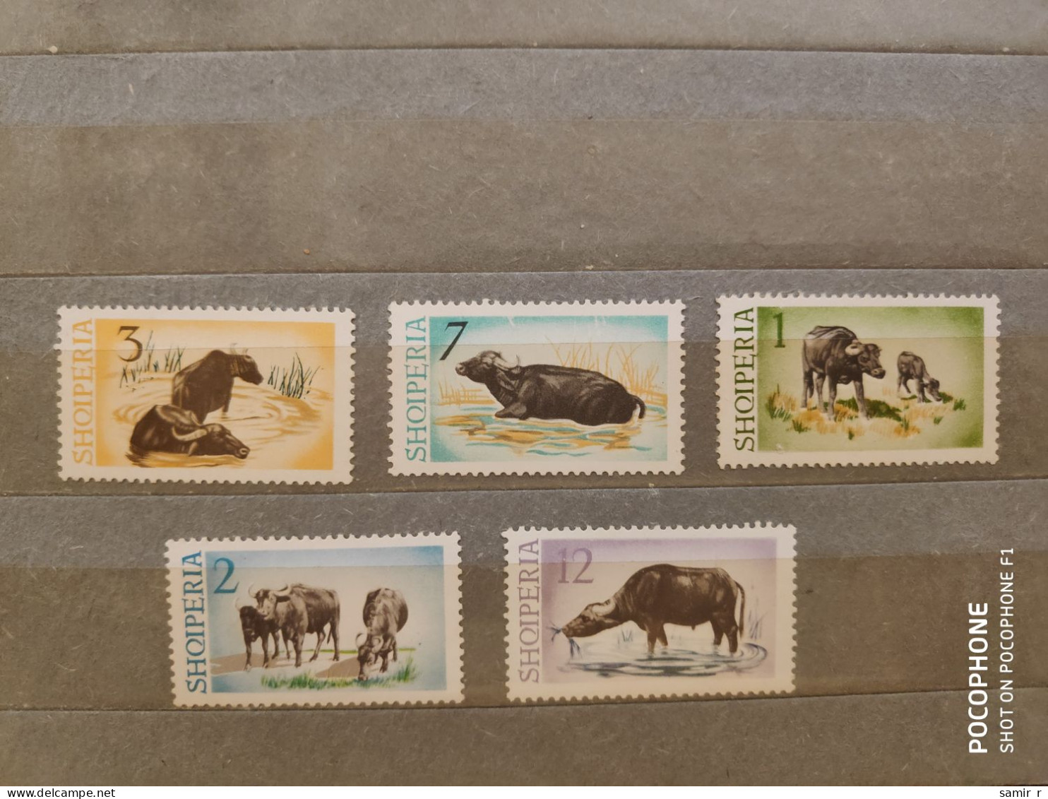 1965	Albania	Animals Bulls (F90) - Albania