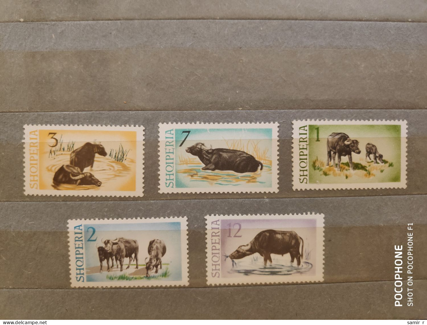 1965	Albania	Animals Bulls (F90) - Albanië