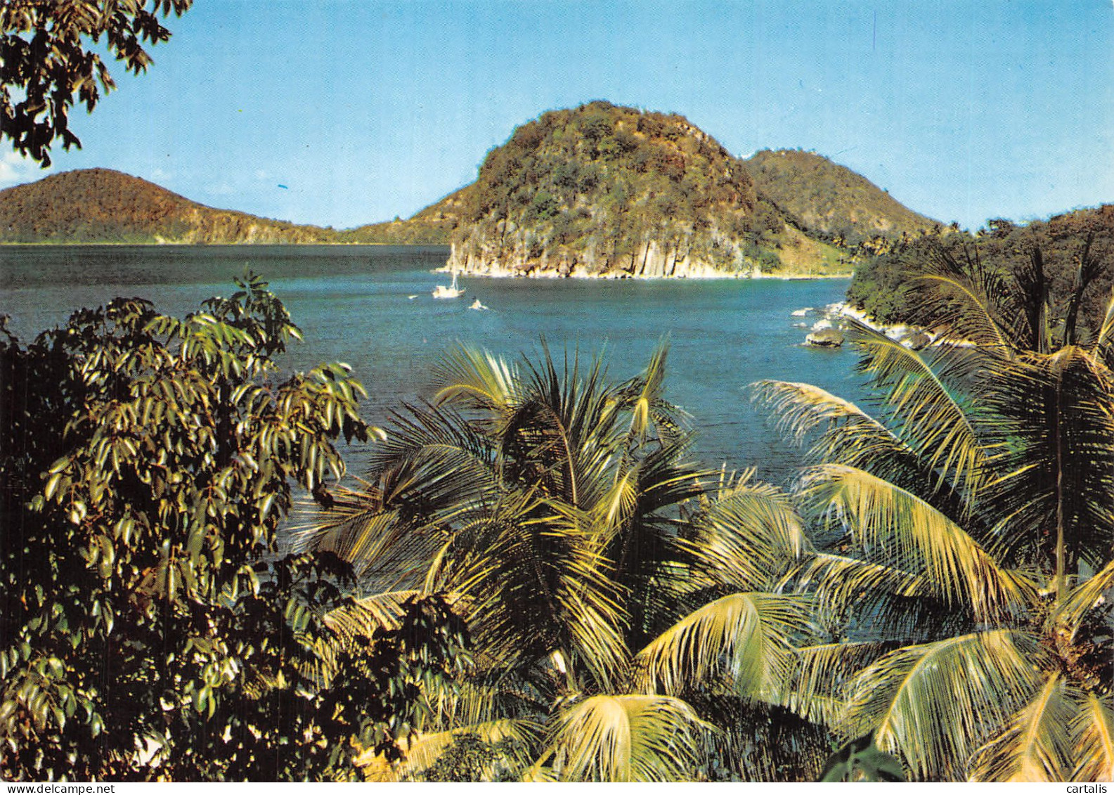 971-SAINT BARTHELEMY LES SAINTES-N° 4382-C/0307 - Altri & Non Classificati