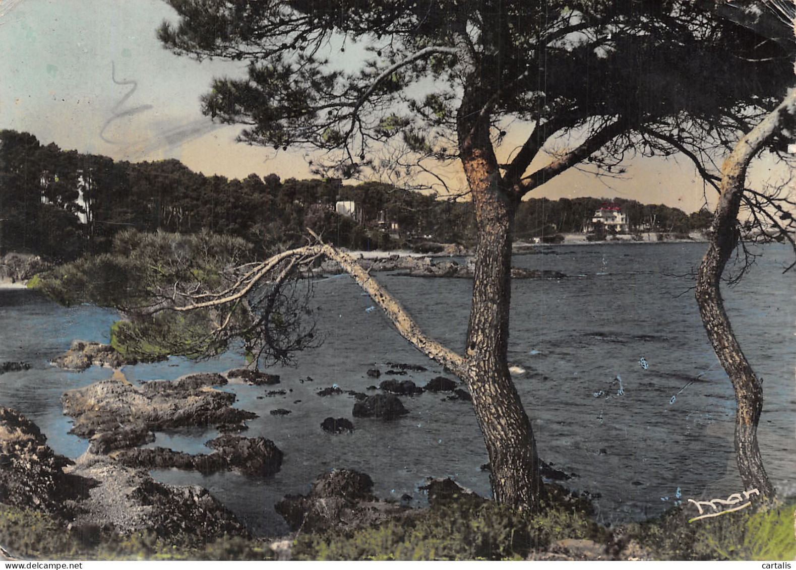 83-SAINTE MAXIME SUR MER LES SARDINAUX-N° 4382-C/0167 - Sainte-Maxime