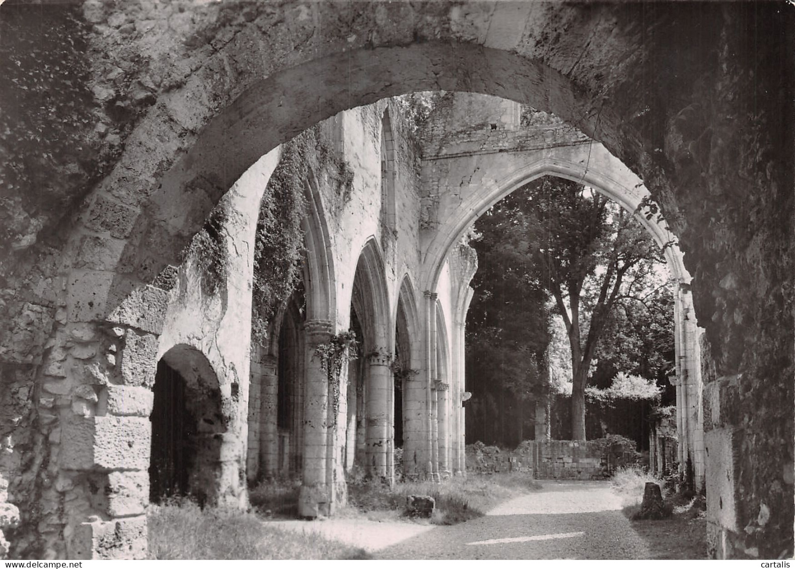 76-JUMIEGES-N° 4382-C/0129 - Jumieges