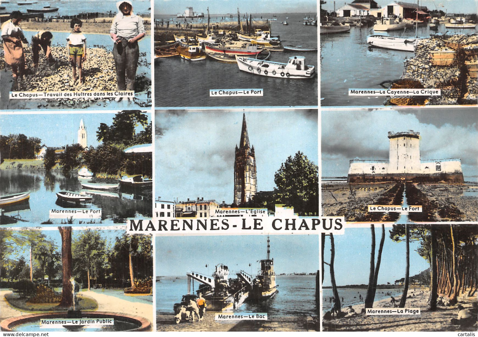 17-MARENNES LE CHAPUS-N° 4382-B/0069 - Marennes