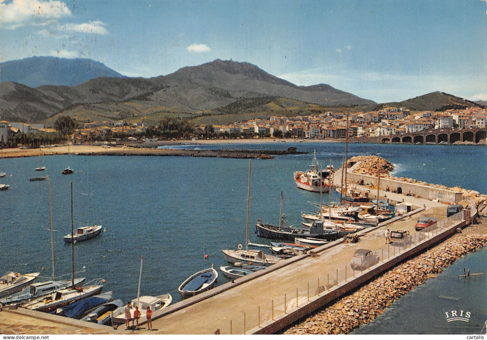 66-BANYULS SUR MER-N° 4382-B/0043 - Banyuls Sur Mer