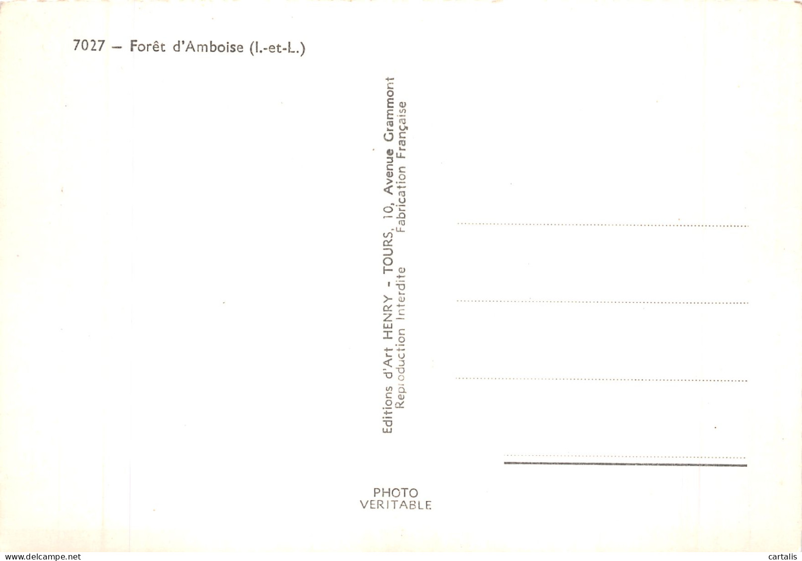 37-AMBOISE LA FORET-N° 4382-A/0381 - Amboise