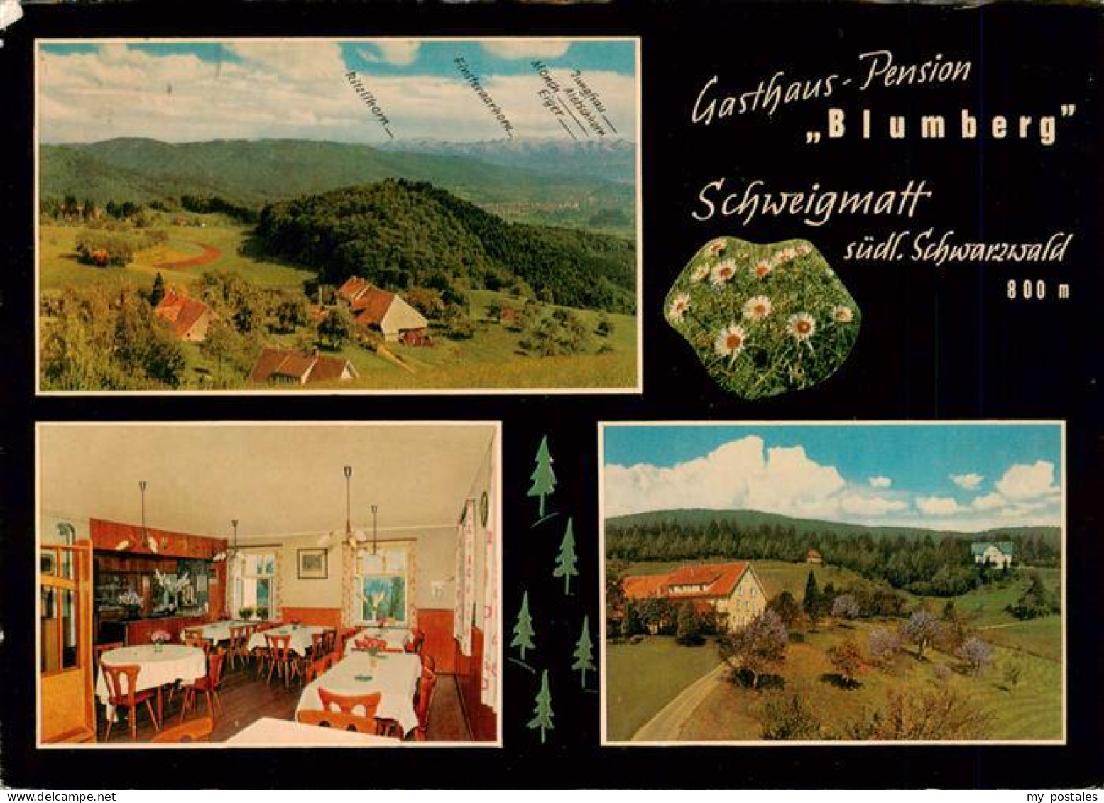 73928256 Schweigmatt_Schopfheim Gasthaus Pension Blumberg Gaststube Fliegeraufna - Schopfheim