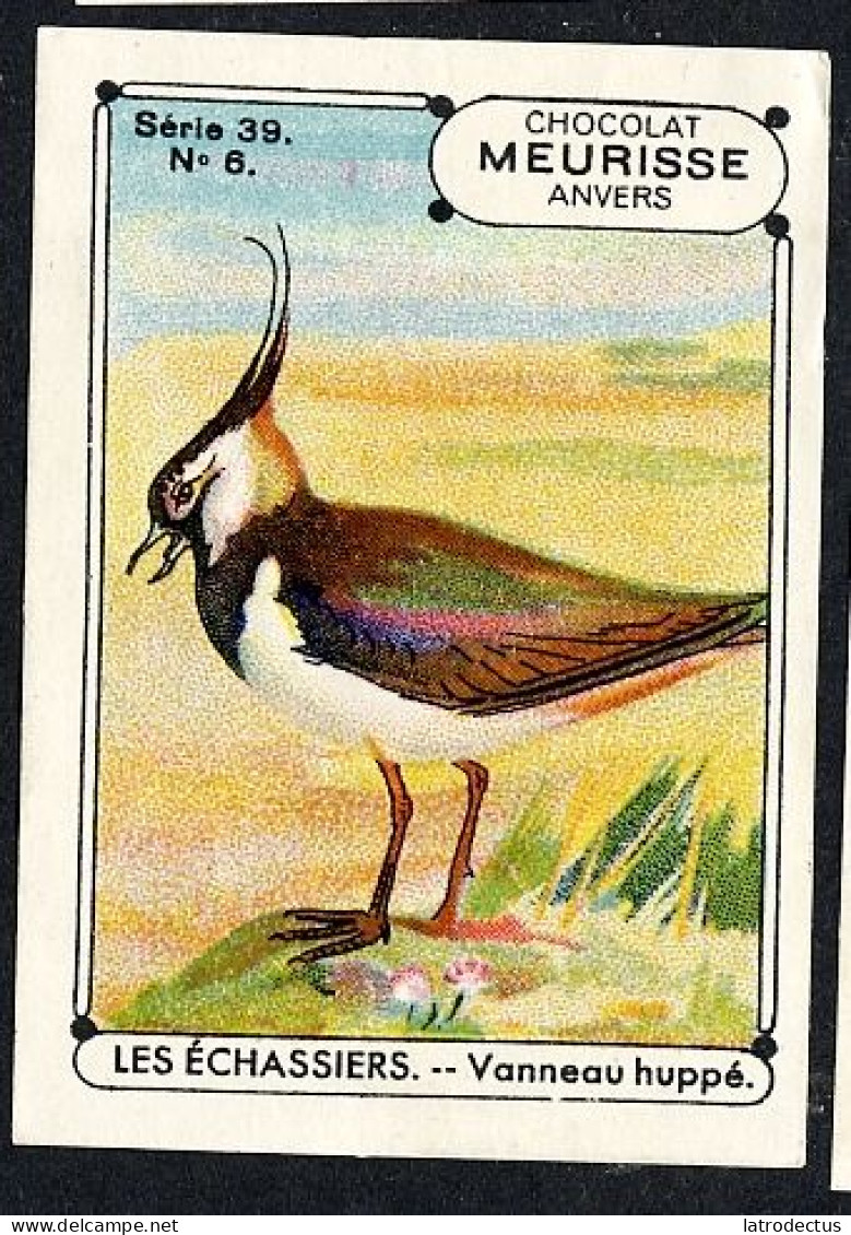 Meurisse - Ca 1930 - 39 - Les Echassiers, Steltlopers, Waders - 6 - Vanneau Huppé, Northern Lapwing, Kievit - Autres & Non Classés