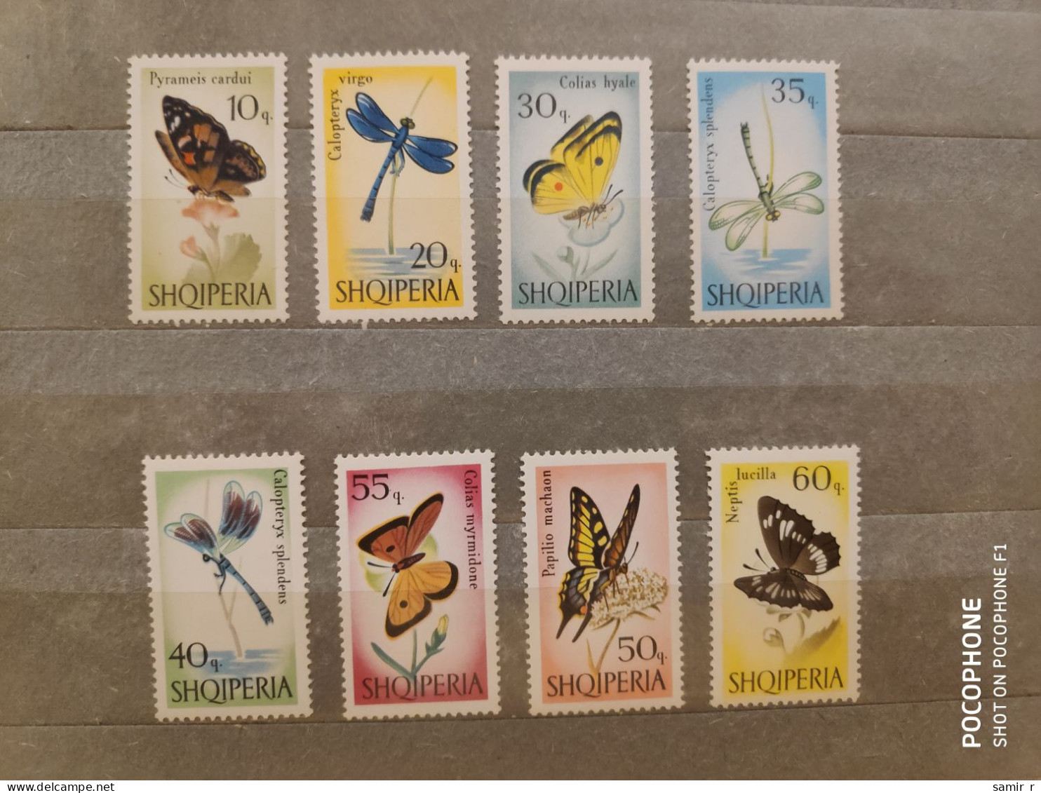 1966	Albania	Butterflies   (F90) - Albania