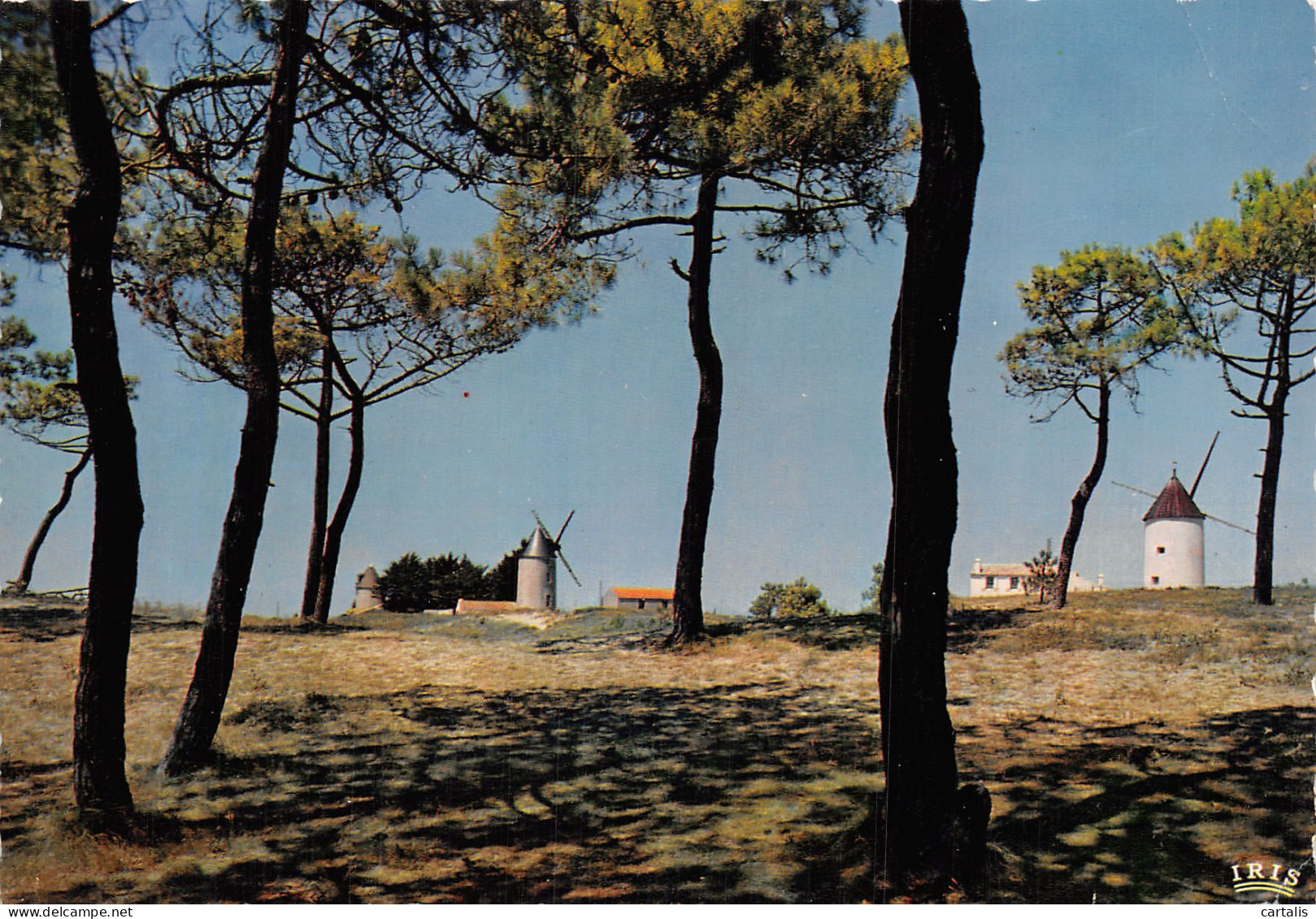 85-NOIRMOUTIER LES MOULINS DE LA GUERINIERE-N° 4383-D/0255 - Noirmoutier