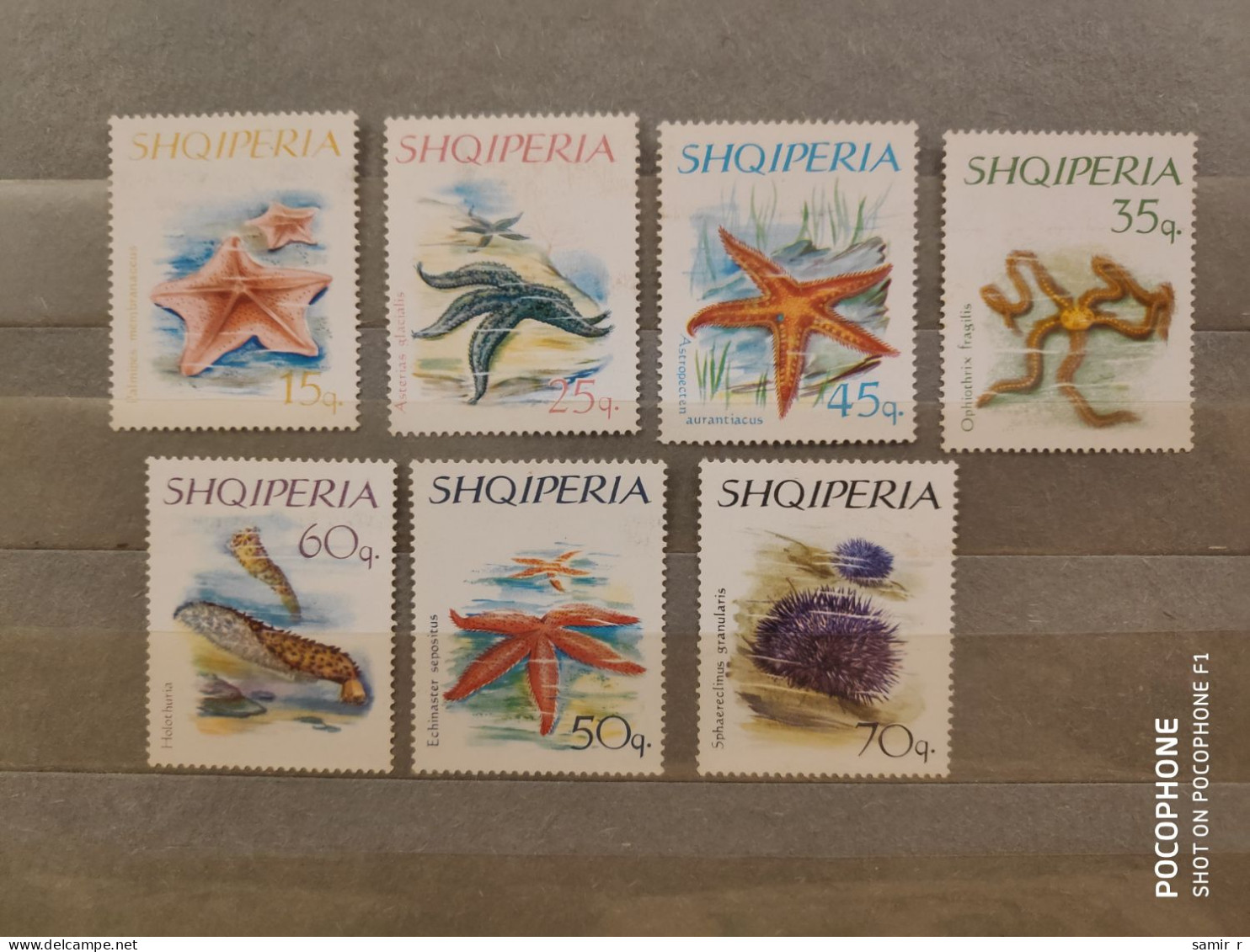 1966	Albania	Fishes   (F90) - Albania