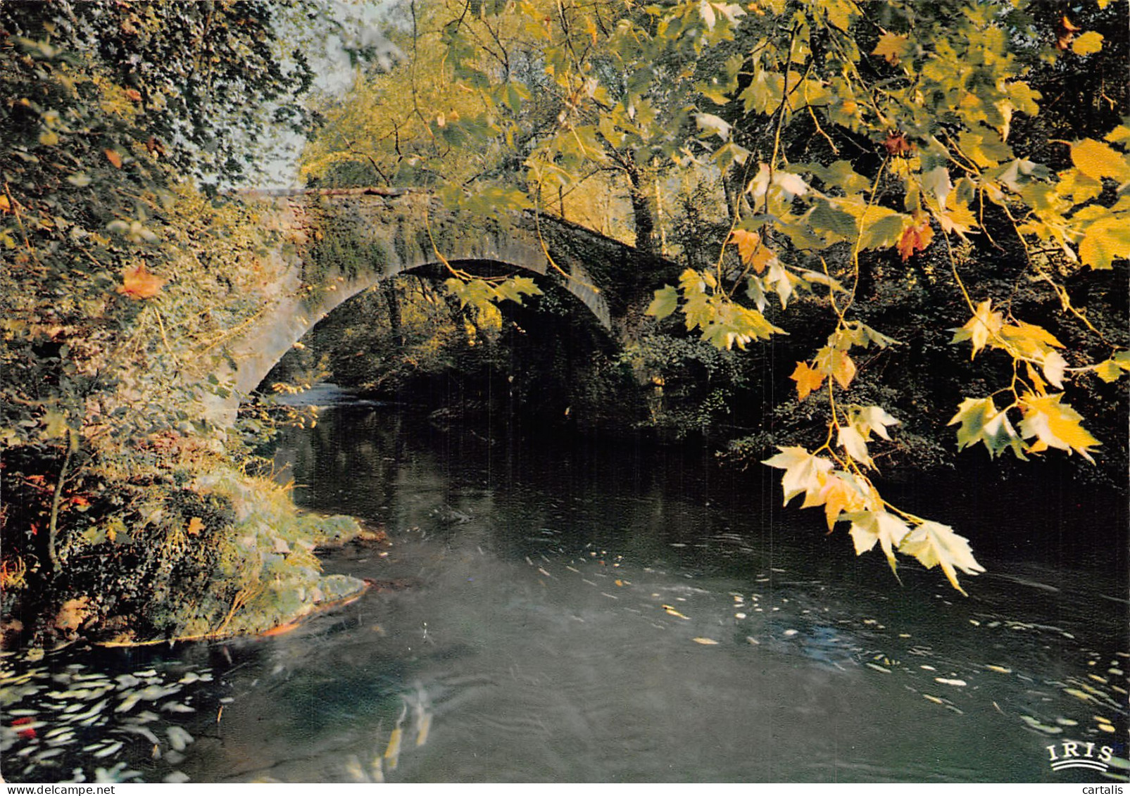 64-SAINT JEAN PIED DE PORT-N° 4383-C/0247 - Saint Jean Pied De Port