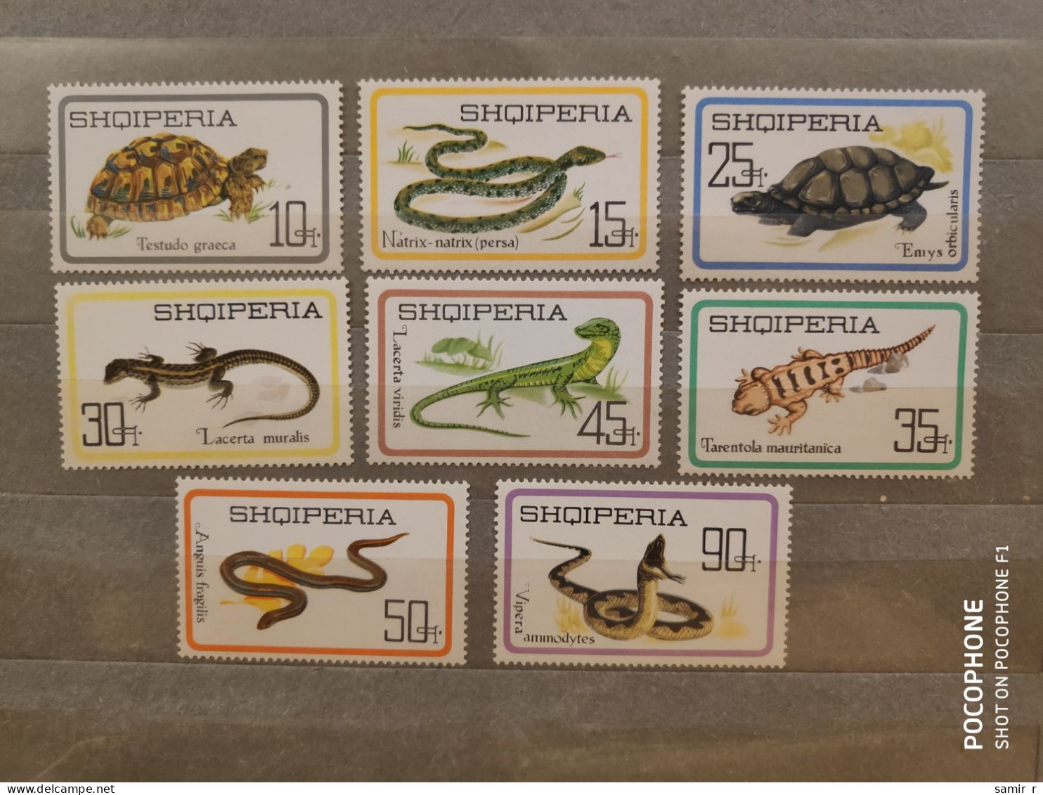 1966	Albania	Reptiles  (F90) - Albanien