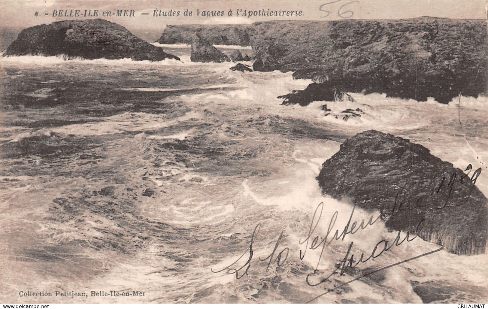 56-BELLE ILE EN MER-N°T5066-E/0059 - Belle Ile En Mer