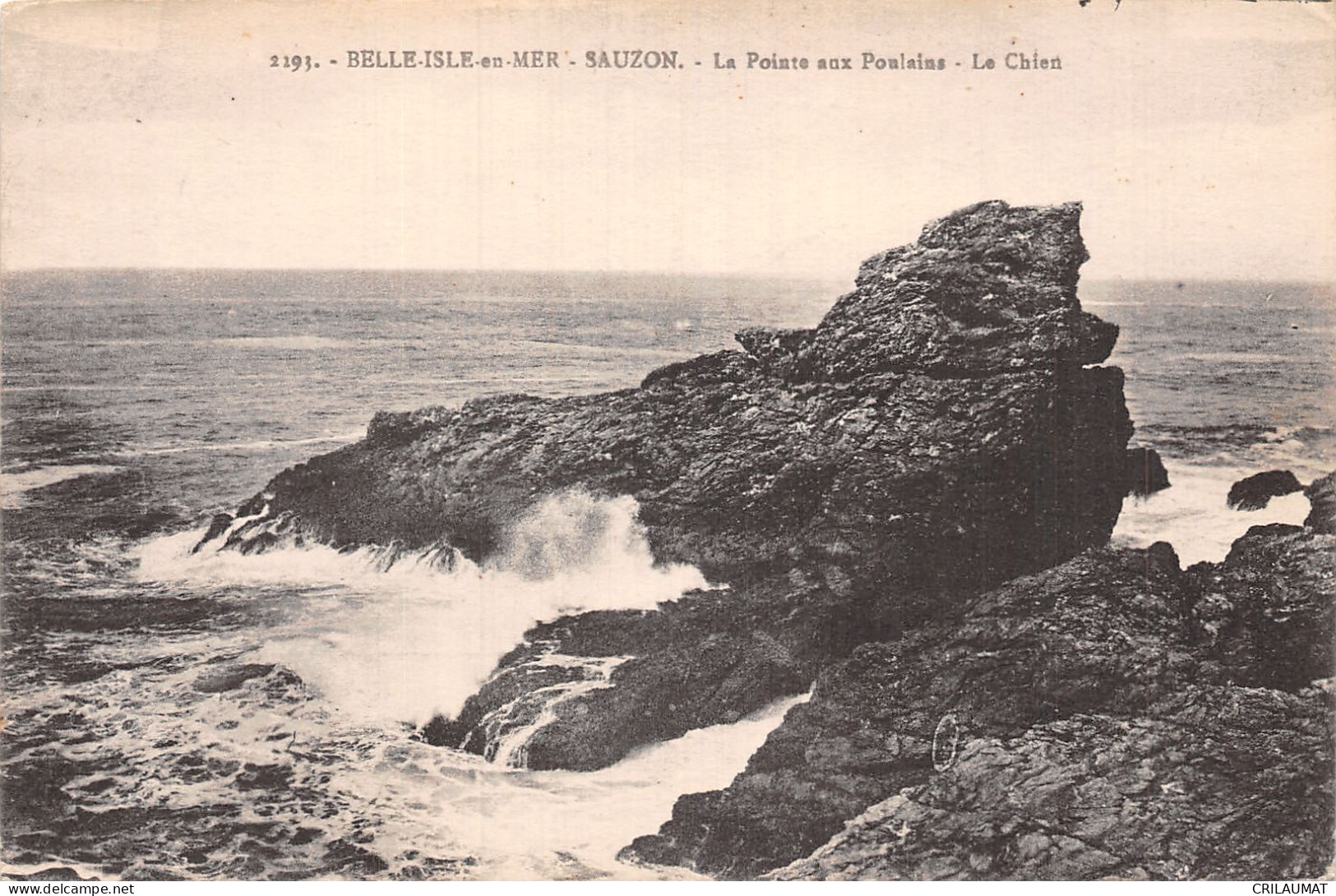 56-BELLE ILE EN MER-N°T5066-E/0049 - Belle Ile En Mer