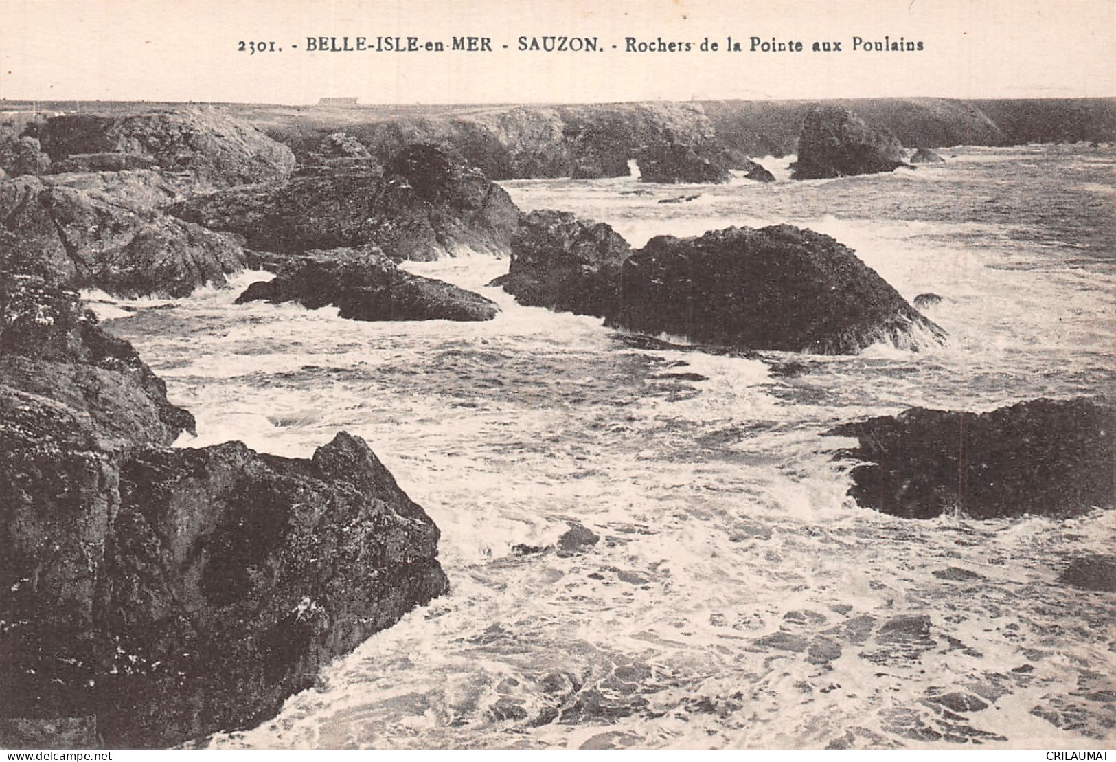 56-BELLE ILE EN MER-N°T5066-E/0043 - Belle Ile En Mer