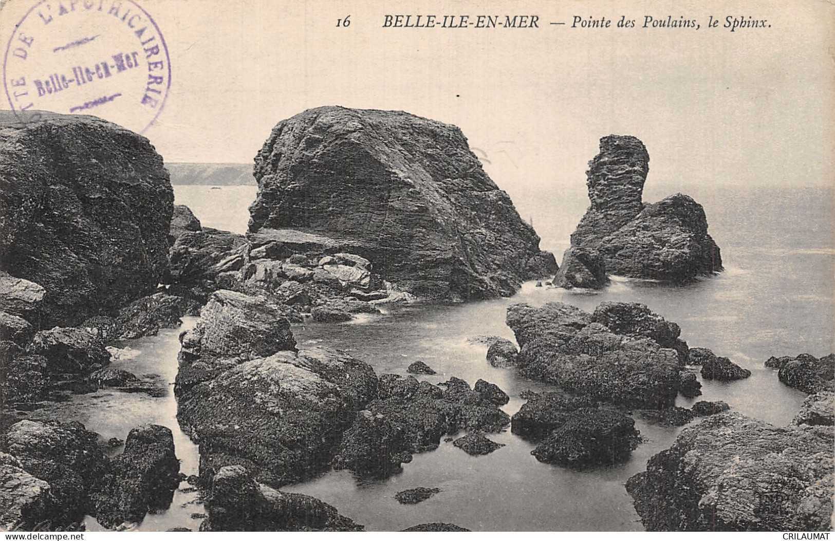 56-BELLE ILE EN MER-N°T5066-E/0027 - Belle Ile En Mer