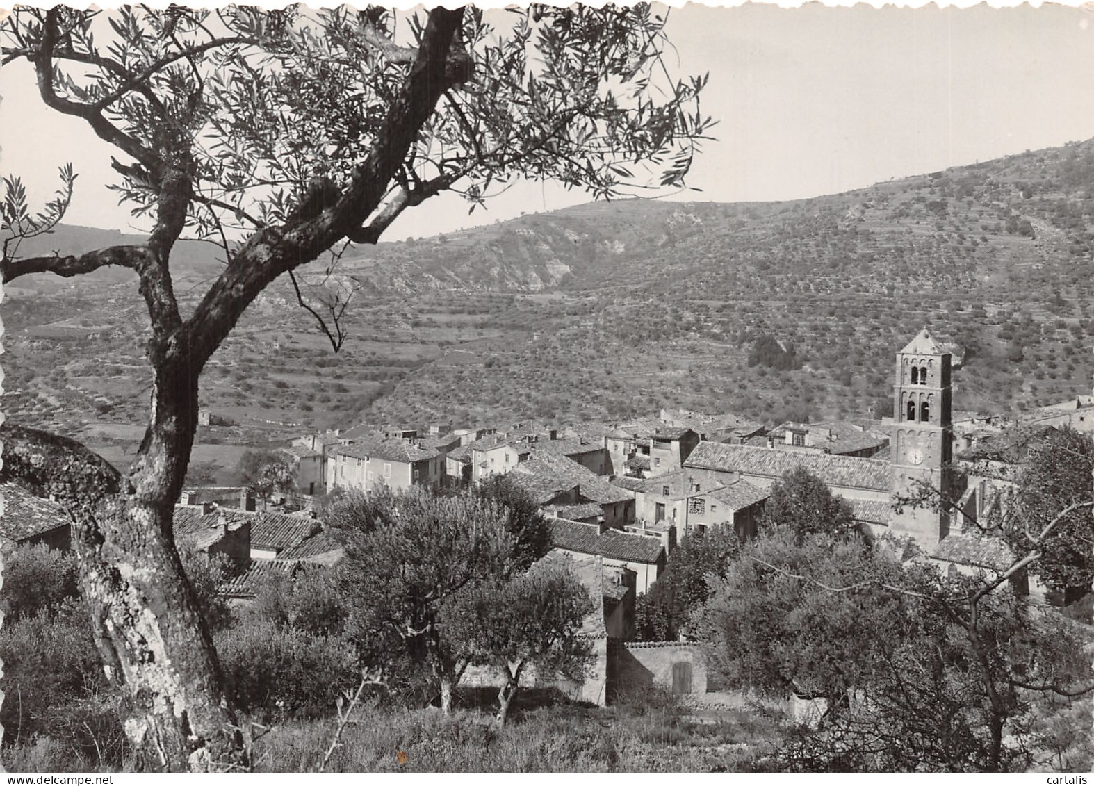 04-MOUSTIERS SAINTE MARIE-N° 4384-A/0129 - Autres & Non Classés