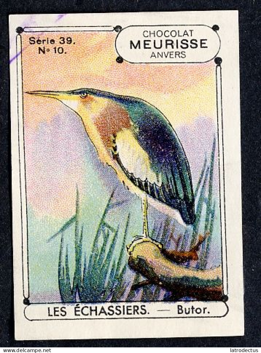 Meurisse - Ca 1930 - 39 - Les Echassiers, Steltlopers, Waders - 10 - Butor, Bittern, Roerdomp - Other & Unclassified