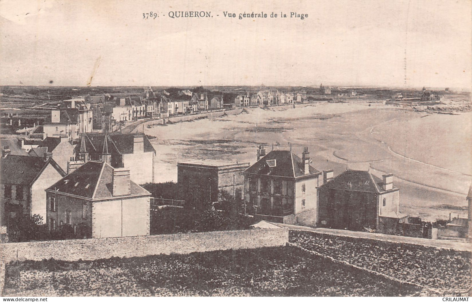 56-QUIBERON-N°T5066-G/0203 - Quiberon