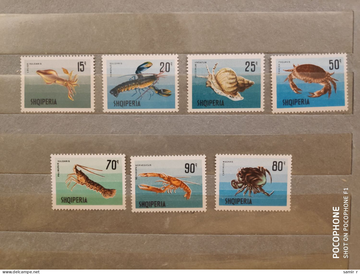 1968	Albania	Fishes Shells  (F90) - Albania