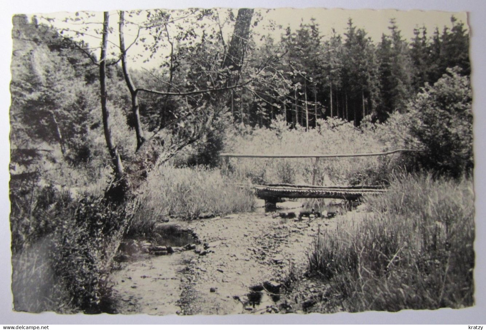 BELGIQUE - LUXEMBOURG - NASSOGNE - Vallée Du Nanfurnal - 1961 - Nassogne