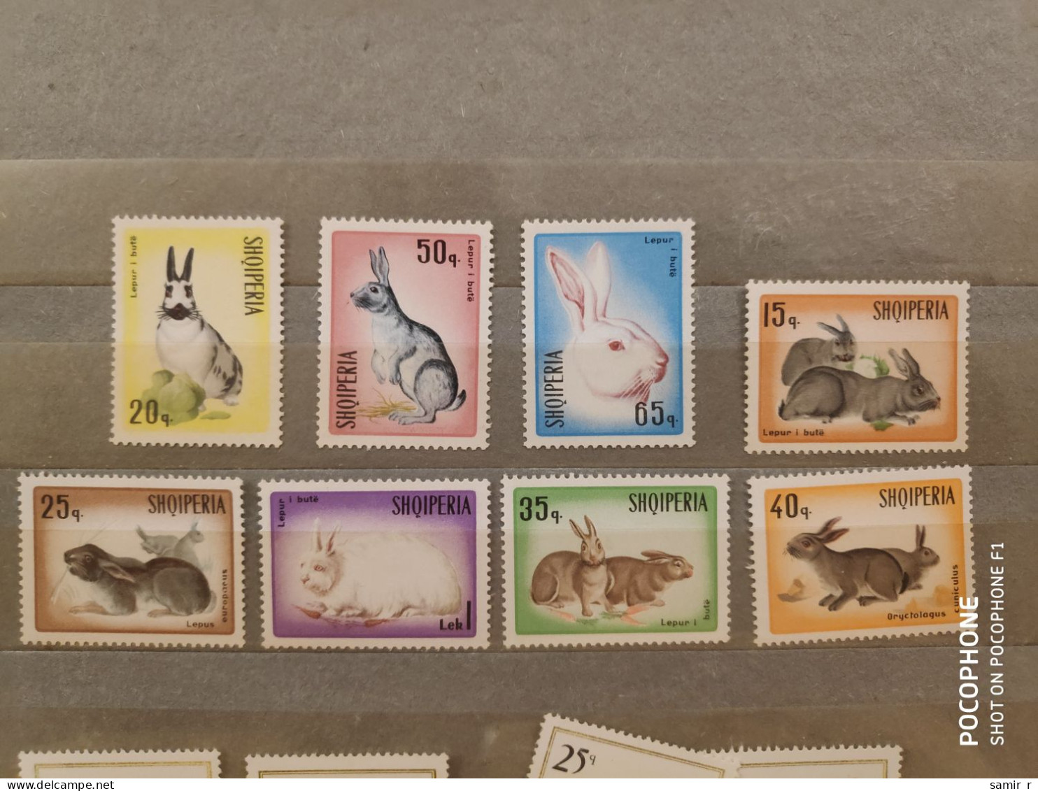 1967	Albania	Animals Rabbits   (F90) - Albanien
