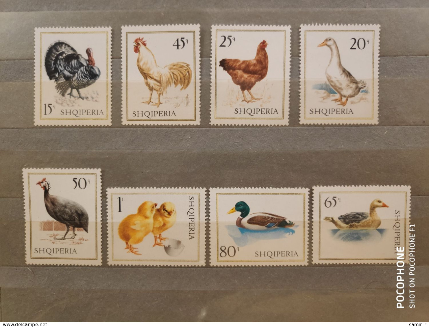 1967	Albania	Birds   (F90) - Albanie