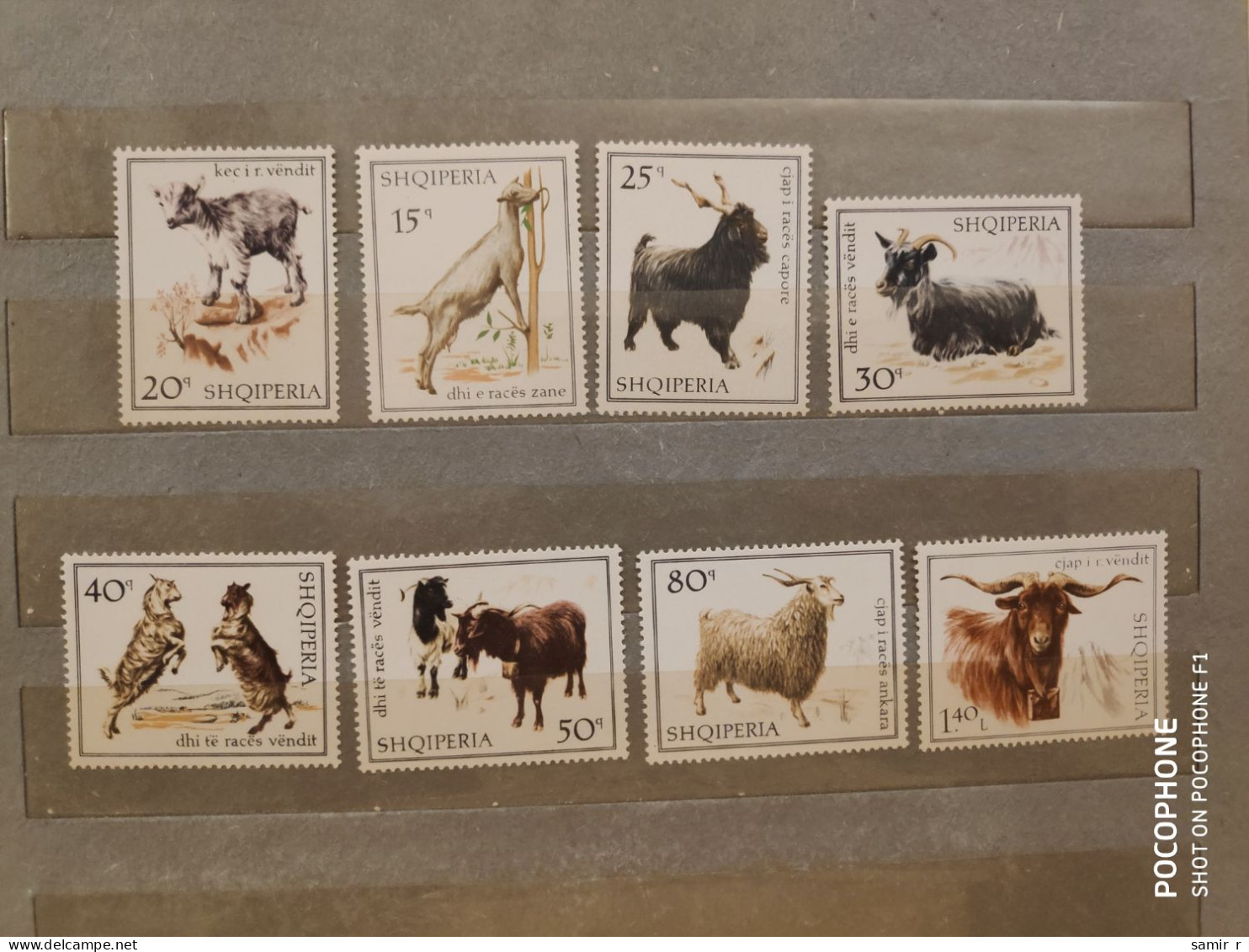 1968	Albania	Animals Goats   (F90) - Albanien