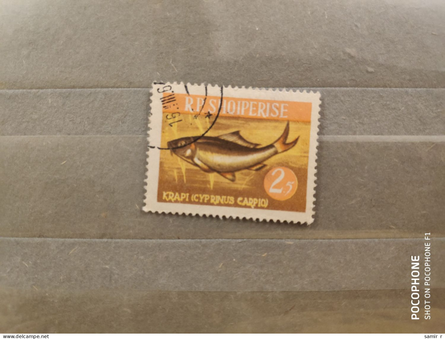 1964	Albania	Fishes (F90) - Albania