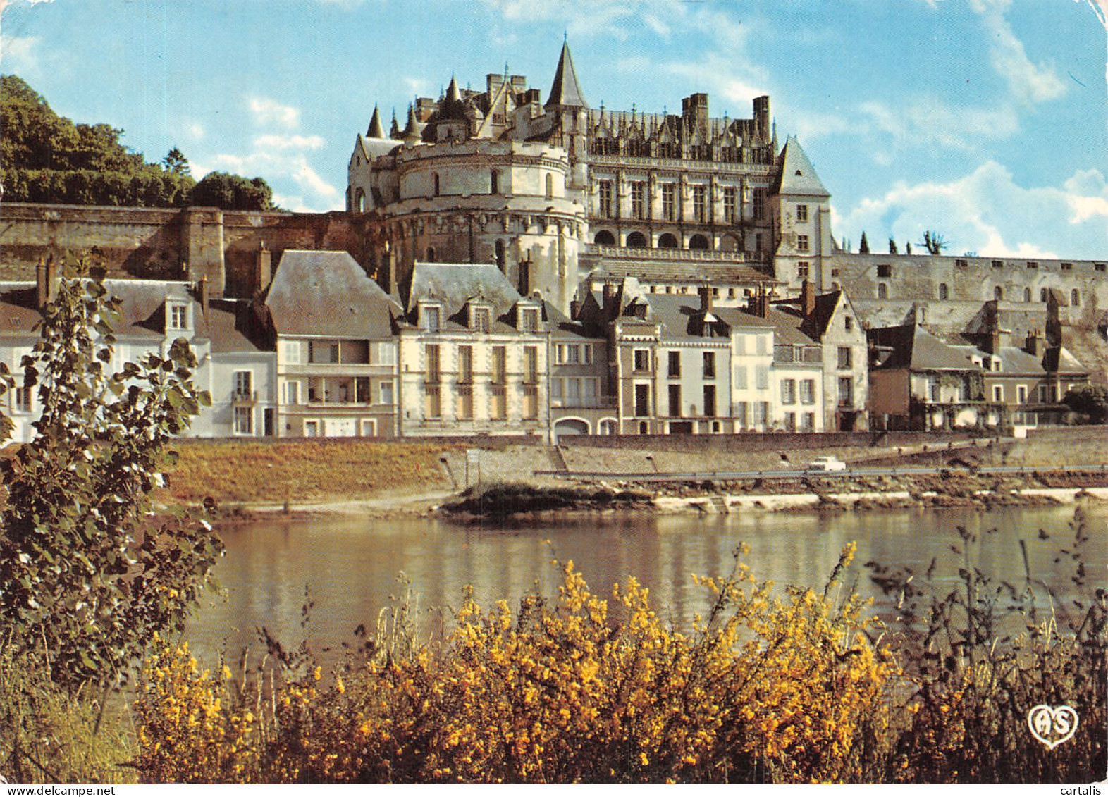 37-AMBOISE-N° 4387-C/0249 - Amboise