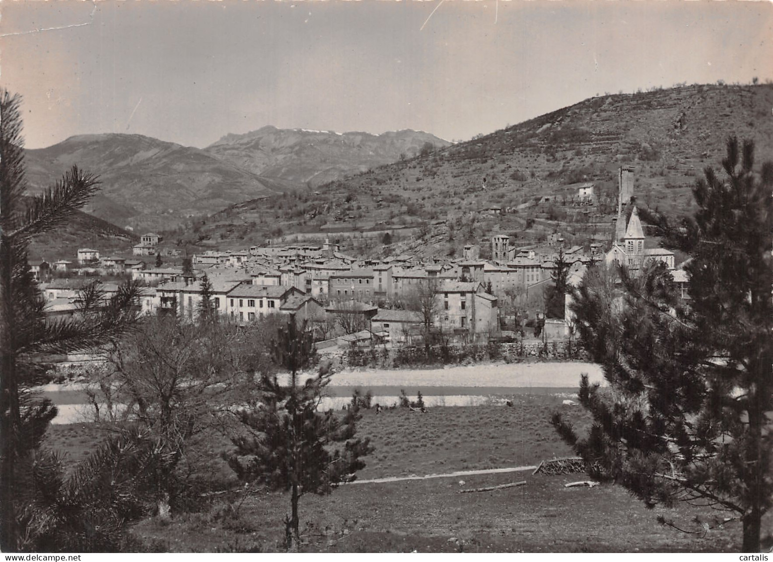 04-CASTELLANE-N° 4388-A/0079 - Castellane