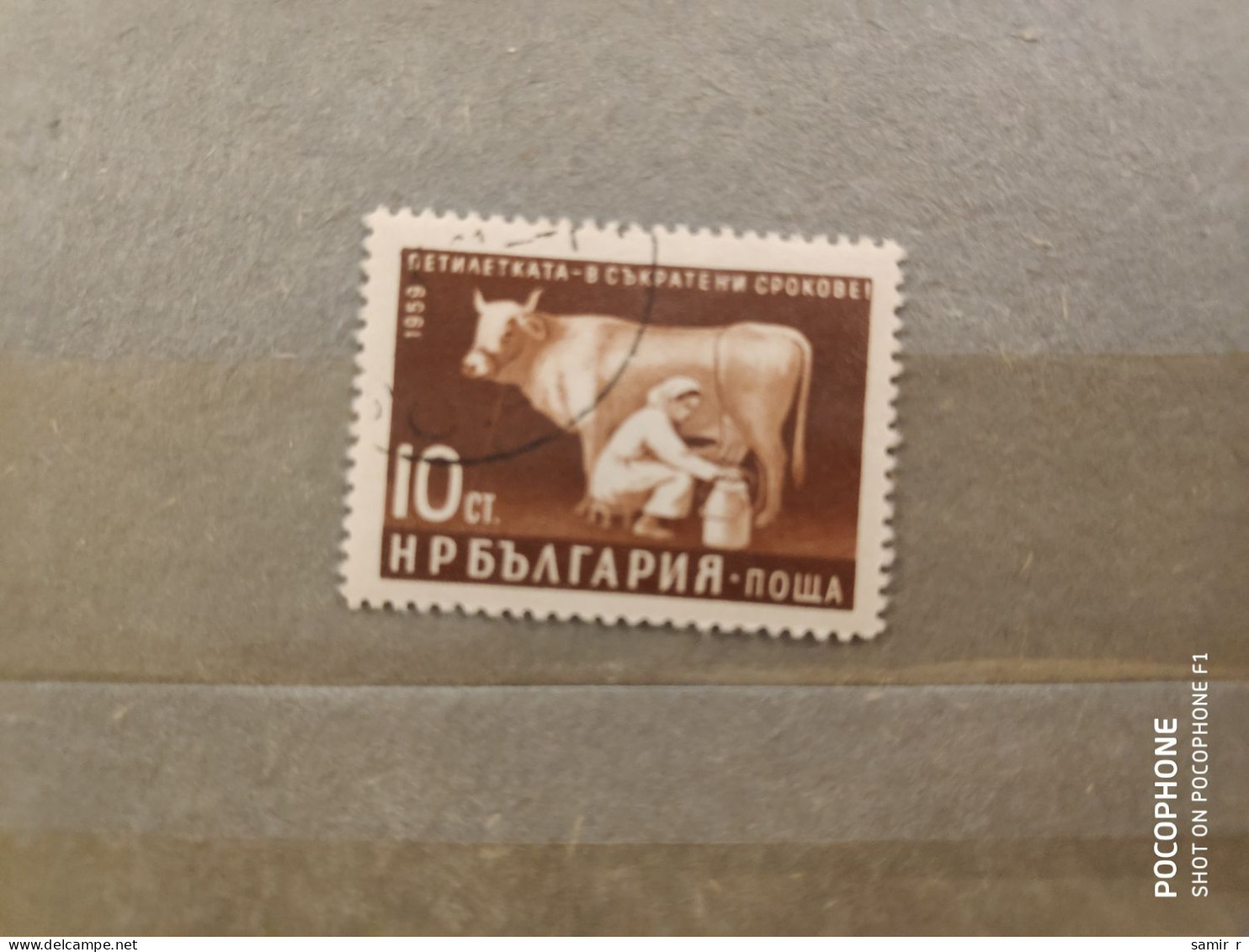 1961	Bulgaria	Cows (F90) - Gebruikt