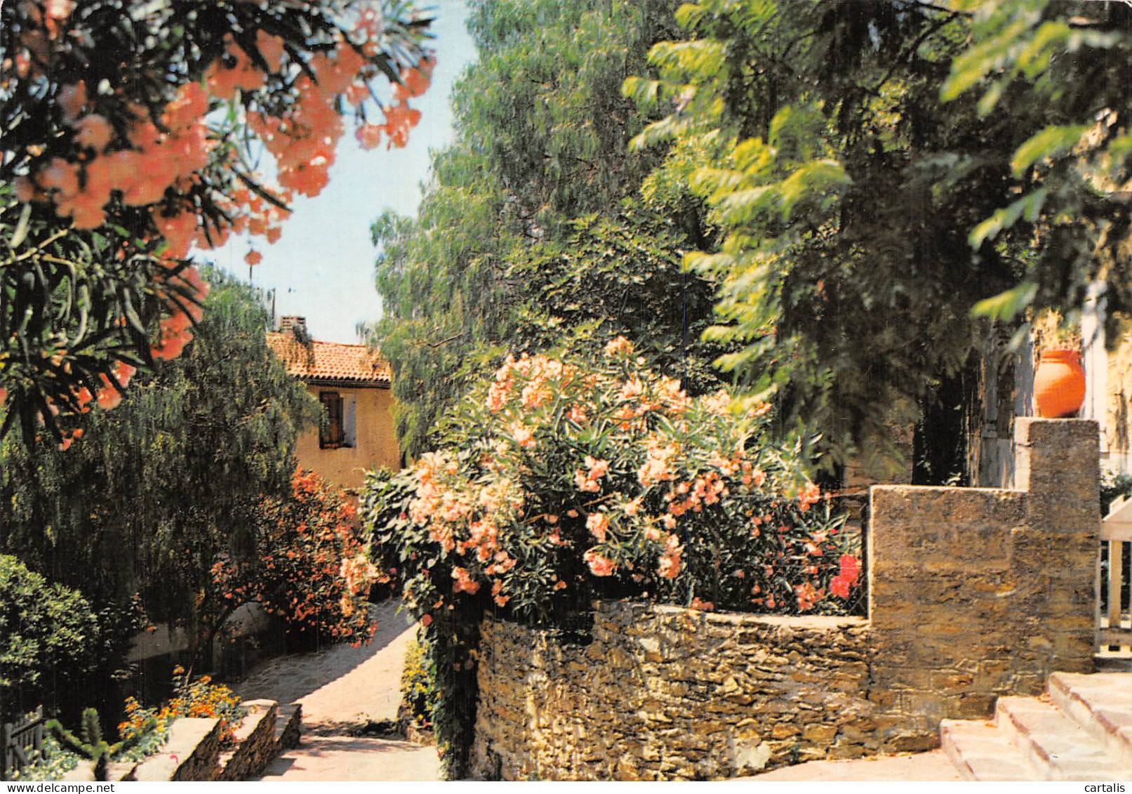 83-BORMES LES MIMOSAS-N° 4388-D/0227 - Bormes-les-Mimosas