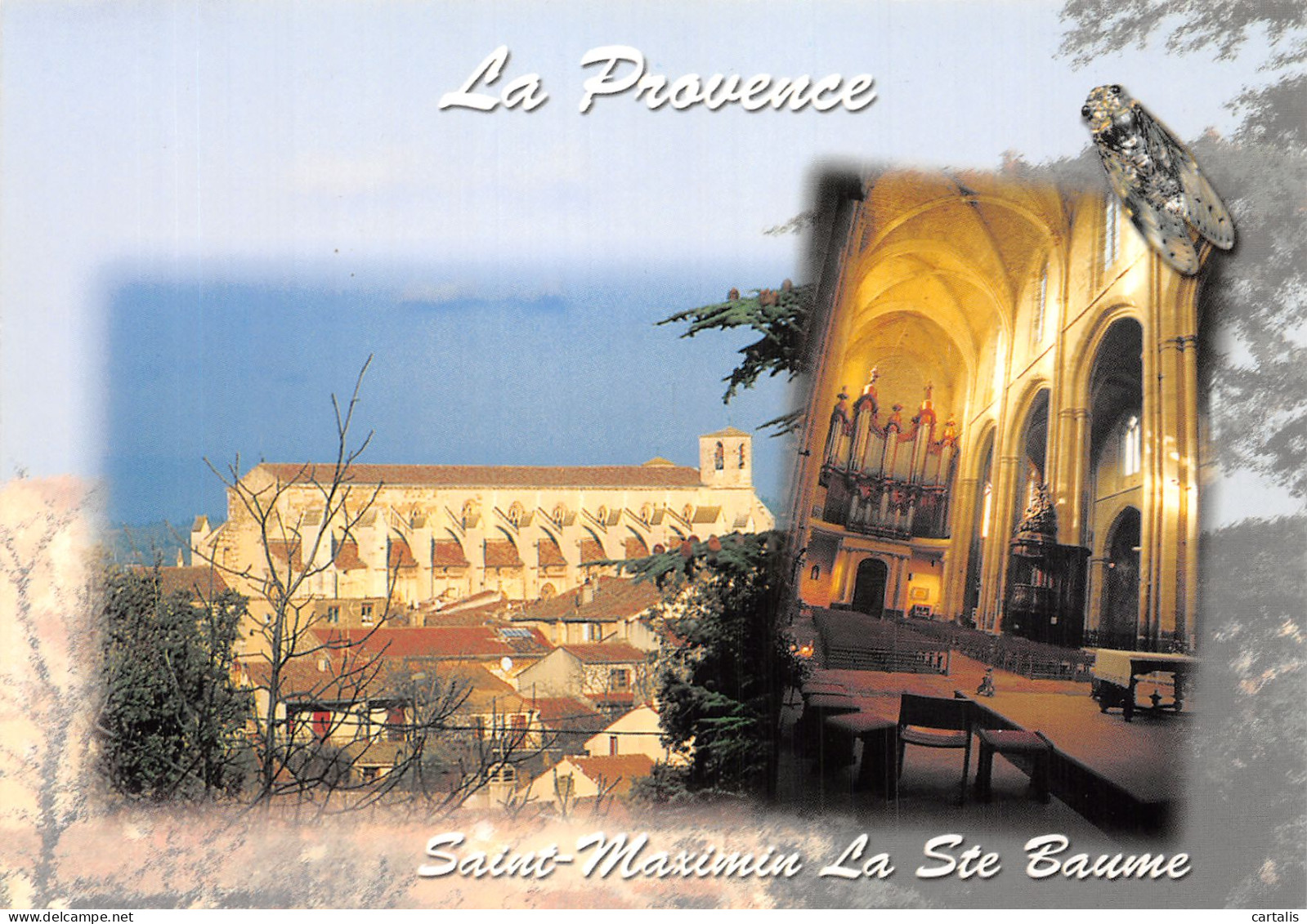 83-SAINT MAXIMIN-N° 4388-C/0209 - Saint-Maximin-la-Sainte-Baume