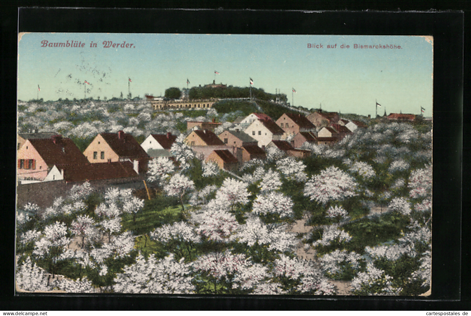 Künstler-AK Werder /Havel, Blick Auf Die Bismarckshöhe Mit Baumblüte  - Werder