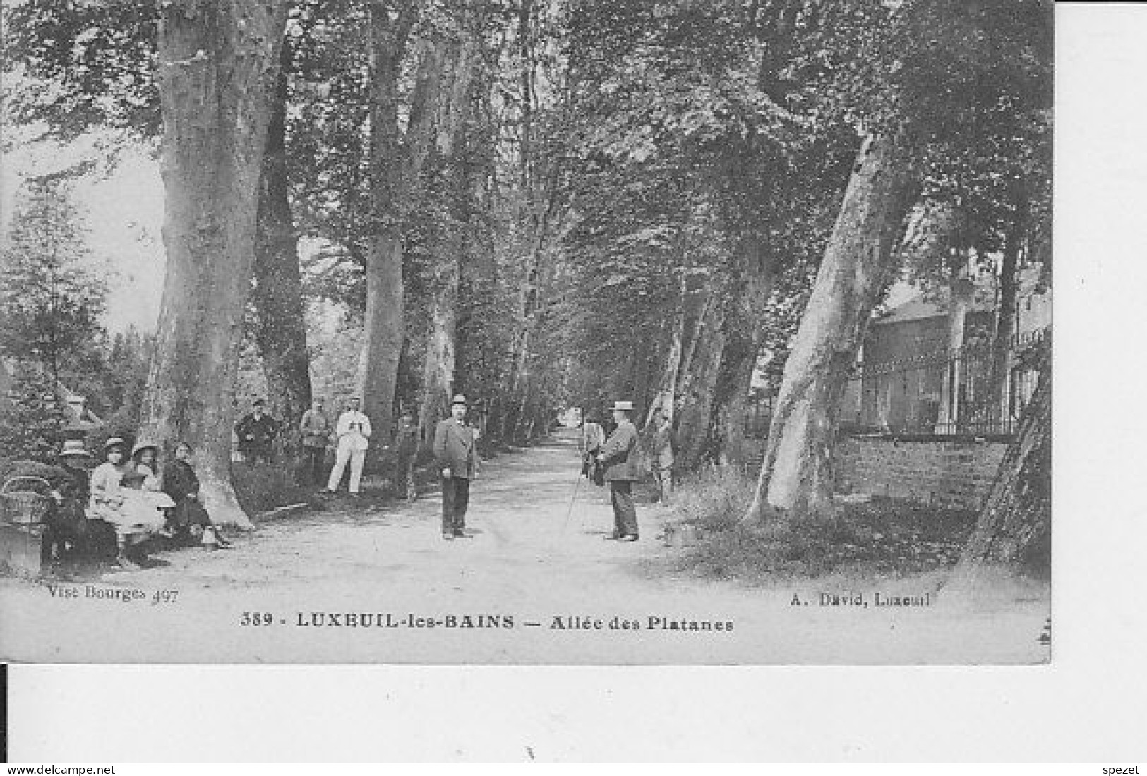 LUXEUIL-LES-BAINS : Allée Des  Platanes - Luxeuil Les Bains